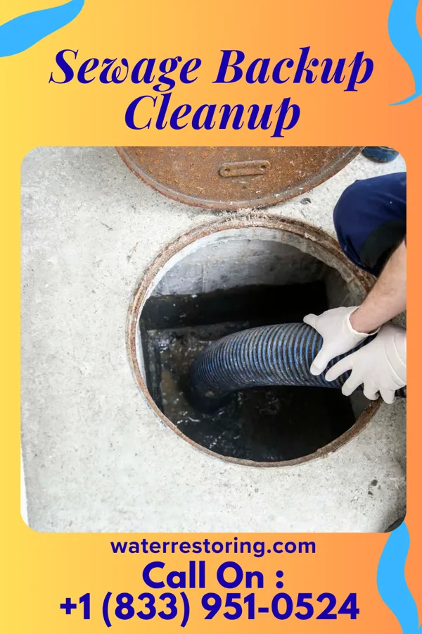 Sewage Backup Cleanup in Sanger, TX